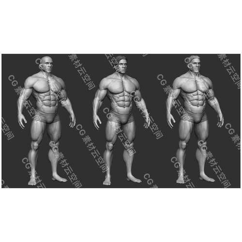 Zbrush健美男性肌肉人体基础3D模型人物高模zb雕刻obj ztl stk