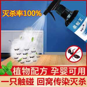 杀蚂蚁药家用室内杀灭蚂蚁窝端全
