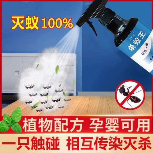 万代兰蚂蚁药灭蚂蚁杀蚂蚁