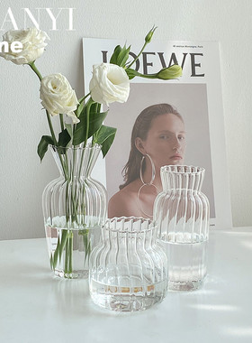 绿萝ins风透明玻璃水培小号花瓶插花鲜花客厅摆件迷你可爱矮桌面