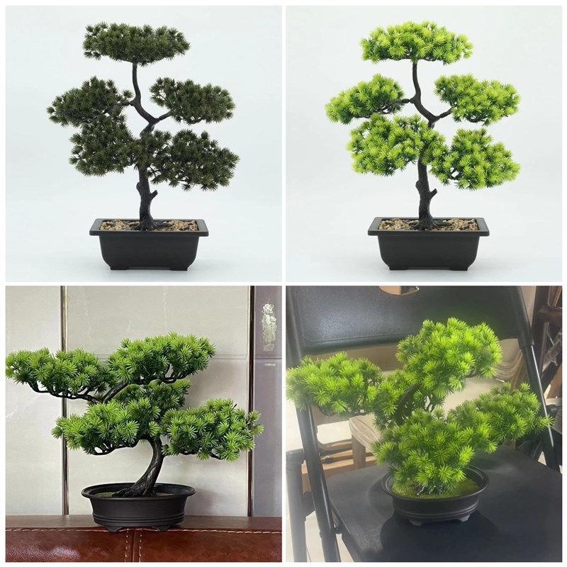 速发中国风婚纱摄影道具工笔摆秀禾拍照古装桌画件绿植常青树松树