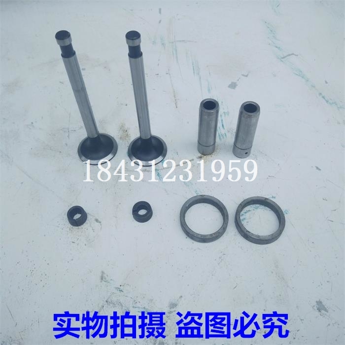 速发桃源门南165湖风冷柴油机气F四配套 气门组件