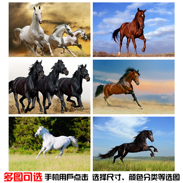 速发饰 骏马 奔马海报制作动物马贴画家居马室装卧画儿童贴墙海报