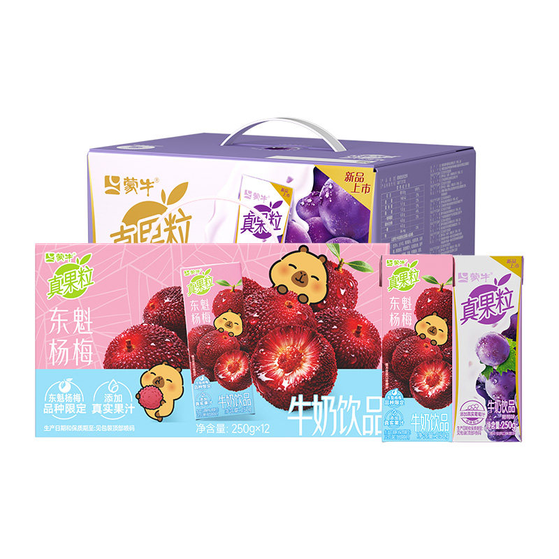 【推荐】真果粒牛奶饮品杨梅味/芦荟/葡萄*2箱5-6月产