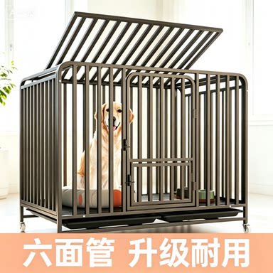 中型犬狗笼子狗小丫金毛