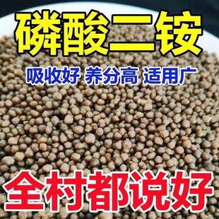 美国二铵进口美国二安复合肥大袋磷肥农田通用型氮肥花肥水溶