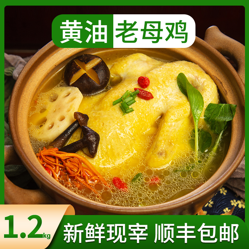 我老家黄油老母鸡散养走地鸡500天慢养土鸡新鲜现杀冷冻整只顺丰