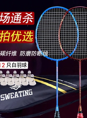 官方旗舰店正品羽毛球拍双拍耐用型全碳素超轻耐打碳纤维套装专业