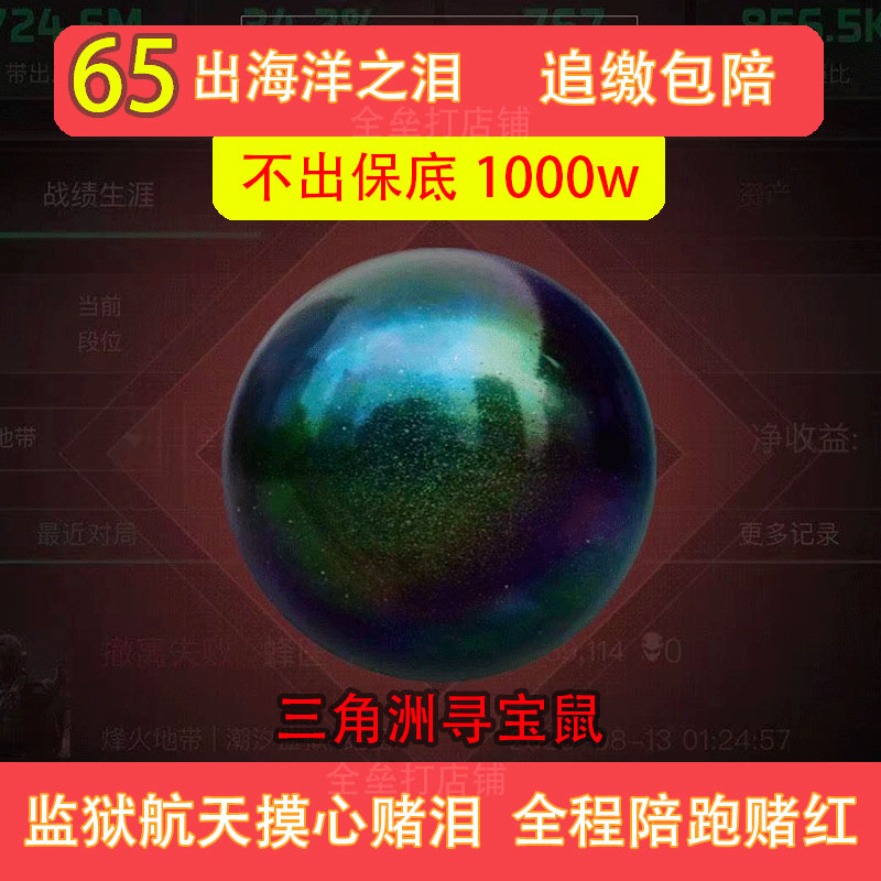 寻宝鼠绝密航天基地监狱陪跑摸金物资摸大红非洲之心海洋之泪pc