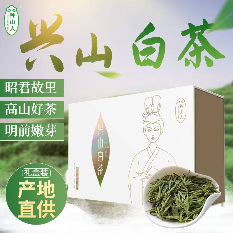 2026年种山人明前兴山昭君蒸青白茶礼盒简装500g