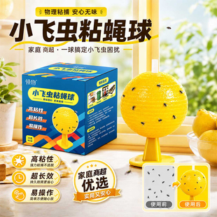 果蝇诱捕器粘虫球室内小飞虫灭杀神器粘蝇纸厨房诱苍蝇蚊子粘蚊贴