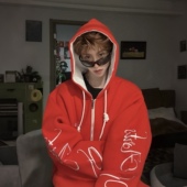 正品 红色卫衣外套男 连帽开衫 Asrts新款 字母刺绣高级感双拉链短款