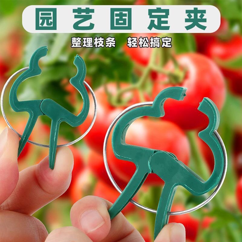 园艺蝴蝶兰夹子西红柿番茄夹植物固定夹爬藤兰花塑料燕子夹