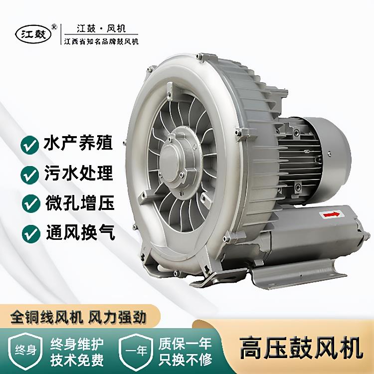 高压罗茨鼓风机鱼塘增氧污水处理双叶轮高压鼓风机除尘漩涡气泵