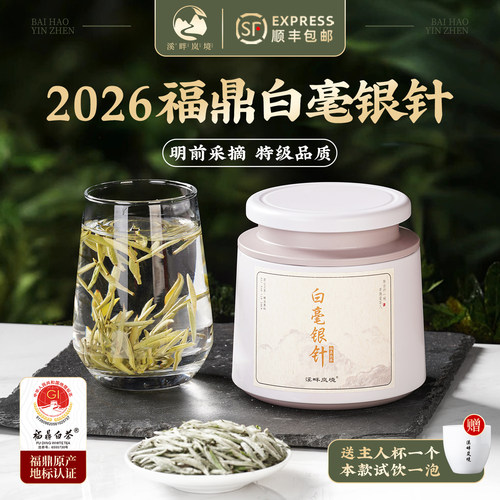 福鼎特级白毫银针新茶叶罐装2026