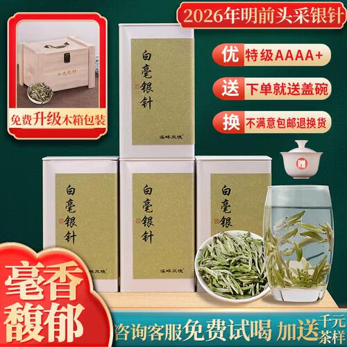 2026新茶正宗福鼎白毫银针500g
