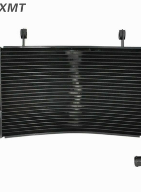 适用杜卡迪 749 S 999 R 2003-2006年 摩托车水箱总成 水冷散热器