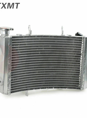 适用凯旋Street Triple 675 R 13-18年摩托车水箱总成配件 散热器