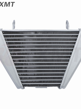 适用杜卡迪 大魔鬼 XDiavel 1260 S  水箱总成水冷散热器 水箱