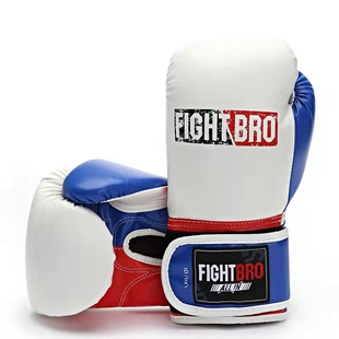 FIGHTBRO飞特氏拳击手套成人儿童打沙袋泰拳散打训练比赛专用拳套