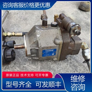 议价YEOSHE 柱塞油泵 AR16 FR01CSK10Y 可维修