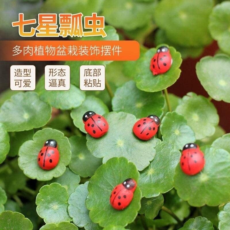 七星瓢虫甲壳虫小瓢虫微景观苔藓多肉造景儿童桌面小摆件DIY装饰