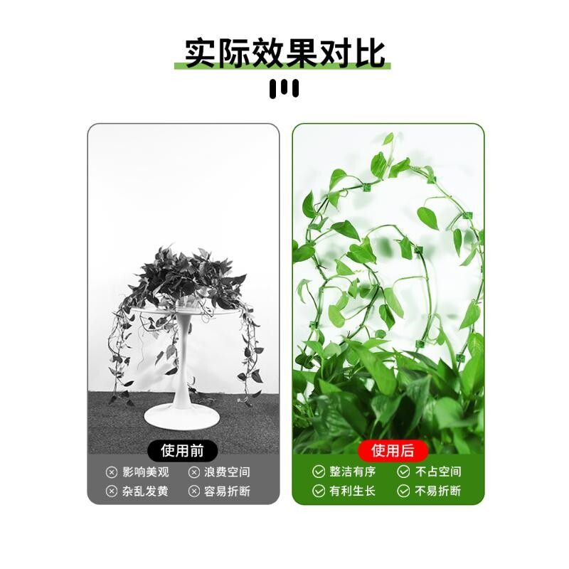 绿萝夹子爬藤植物藤蔓固定夹花卉上墙面吸盘神器绿植牵引爬墙卡扣