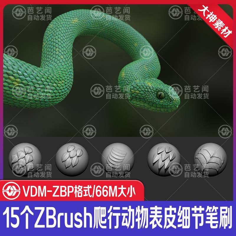 zbrush爬行动物蛇蜥蜴龙鳞笔刷zb蛇鳞笔刷zb21鳞片雕刻zbrush蛇鳞 商务/设计服务 设计素材/源文件 原图主图