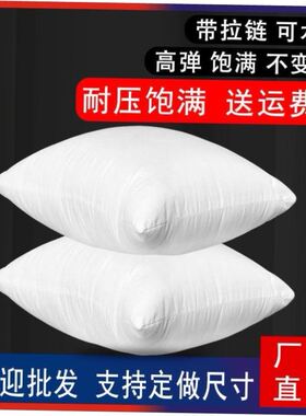 Throw Pillows Sofa Couch Cushion Decorative Pillow insert枕