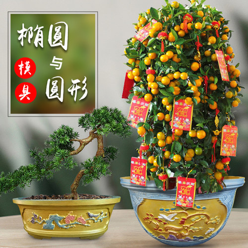 新款欧式圆形水泥花盆模具盆家用自制简约的盆景模型加厚塑料大全