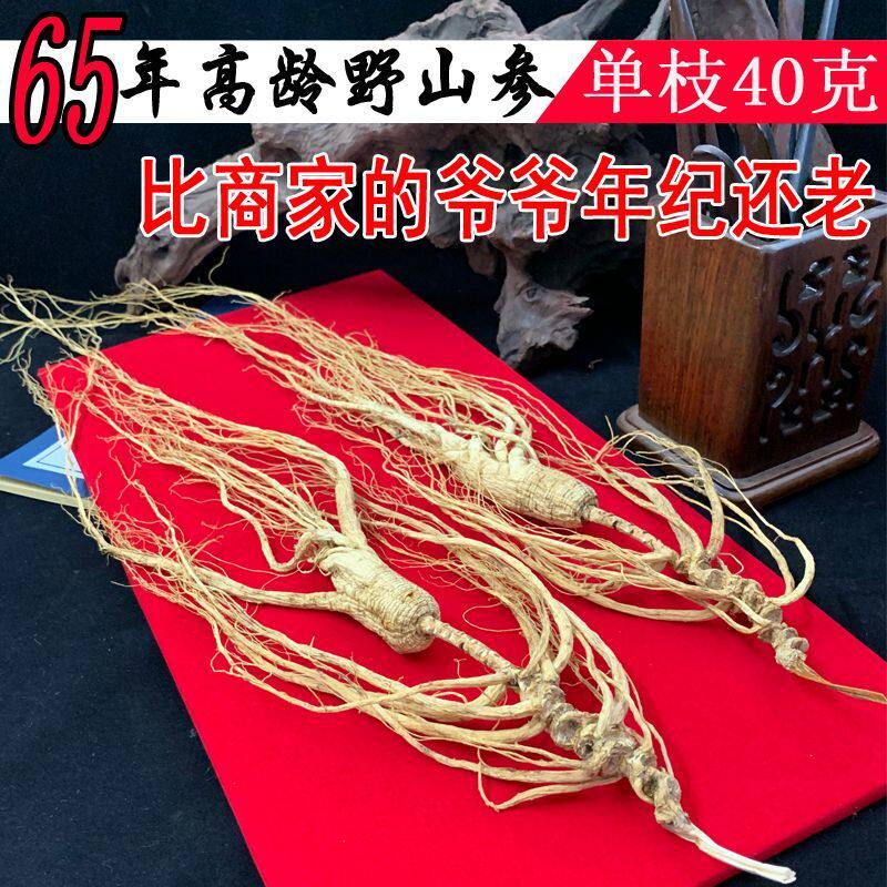 65年野山参长白山人参正宗野生林下参高档礼盒装东北干参泡酒煲汤