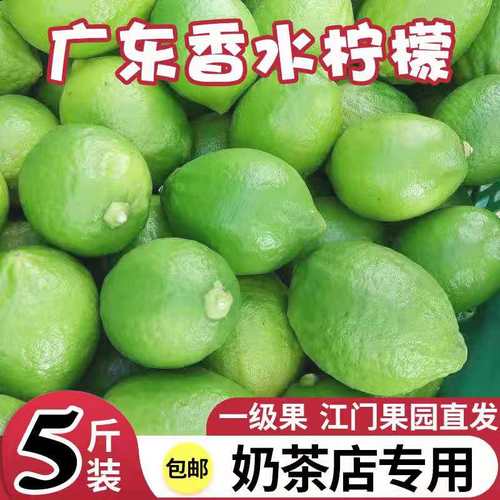 广东香水柠檬一级果青斤装新鲜