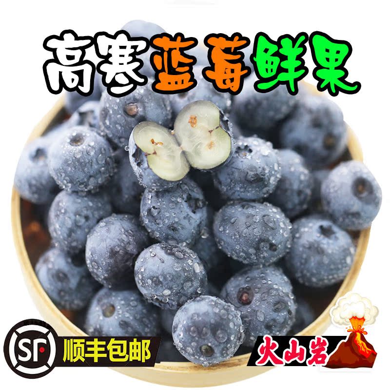 东北吉林长白山新鲜蓝莓蓝梅鲜果宝宝辅食孕妇水果500g包邮
