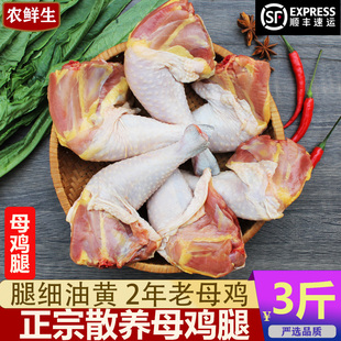 母鸡腿 新鲜现宰正宗2年黑腿土鸡农家散养草鸡手枪鸡腿鸡大腿鸡肉