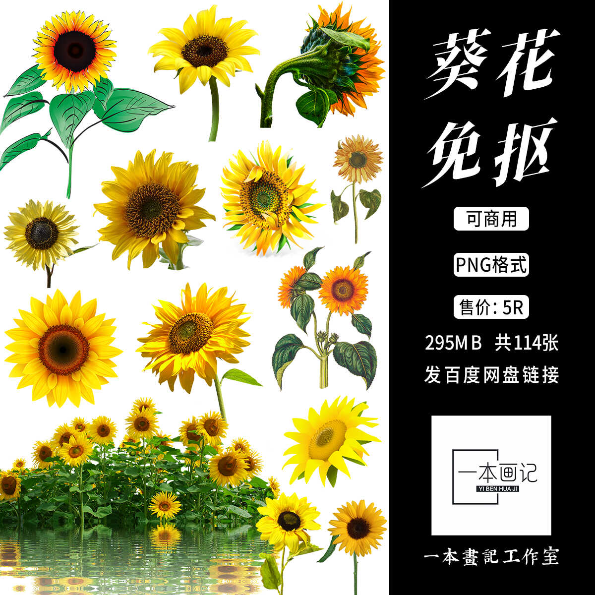 可商用png向日葵葵花 饭圈美工橙光文游合成作图海报封面pv设计ps