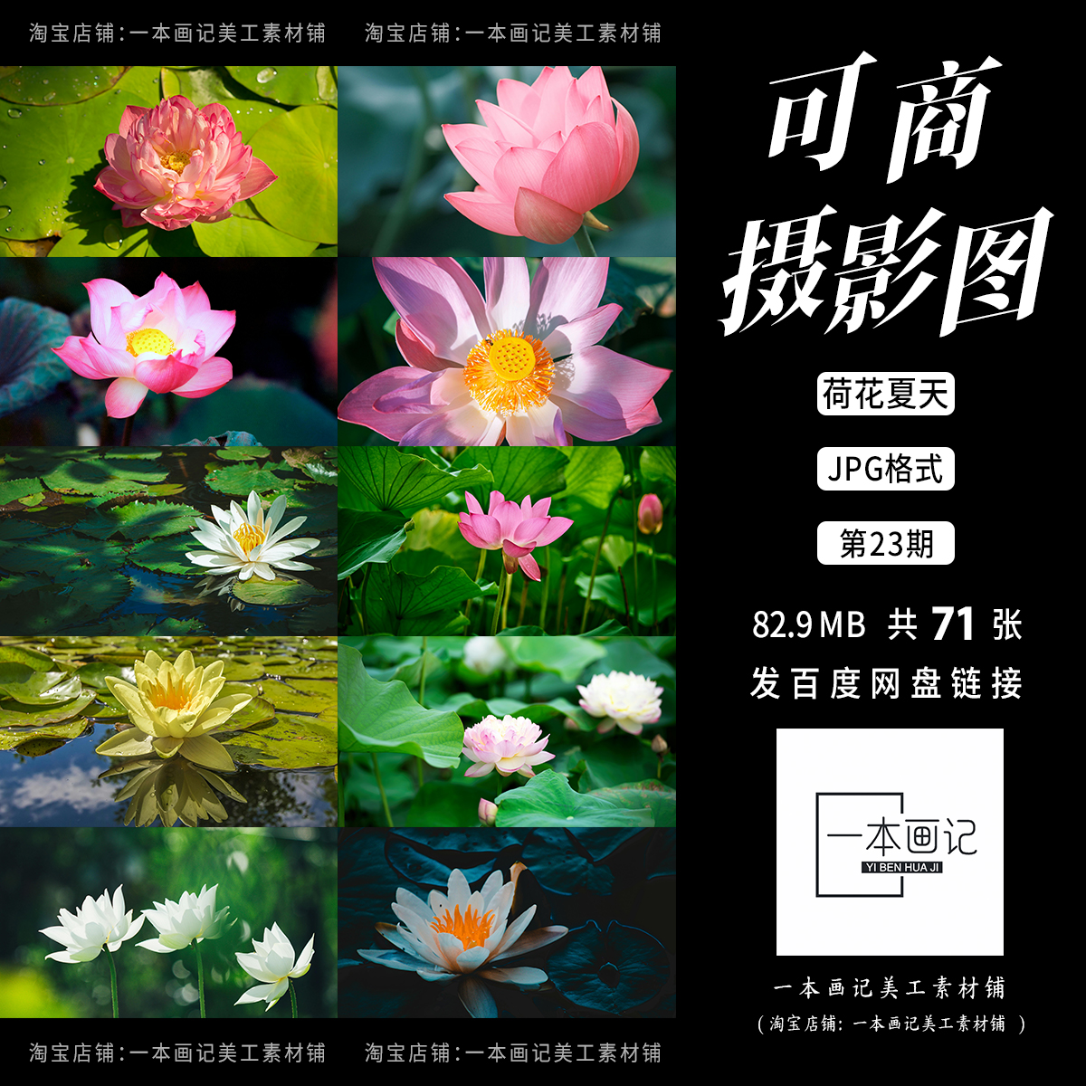 可商用高清JPG 摄影图底图溶图背景 荷花夏天莲花池塘清荷