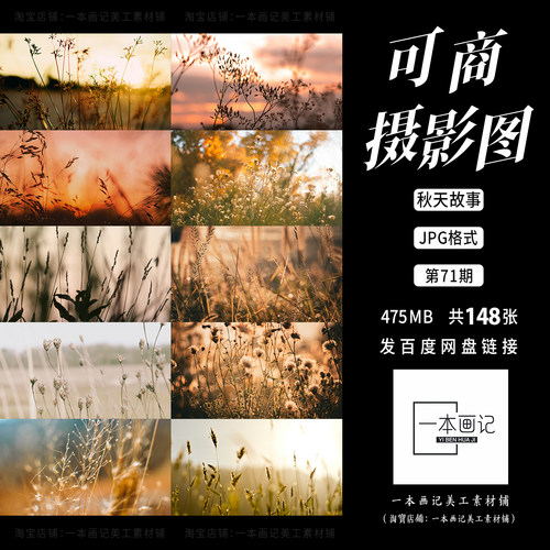 可商用高清JPG 摄影图底图溶图背景 秋天草野故事感 无版权纠纷ps
