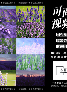 可商用高清MP4视频素材「薰衣花海」浪漫唯美紫色薰衣草花海庄园