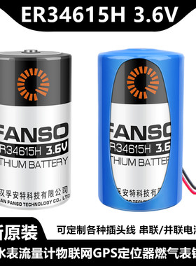 孚安特ER34615H智能水表3.6V电池