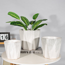现代简约陶瓷小花盆轻奢高级感透气绿萝多肉家用客厅室内外带托盘
