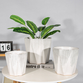 现代简约陶瓷小花盆轻奢高级感透气绿萝多肉家用客厅室内外带托盘