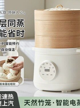 德国竹笼电蒸锅多功能家用二层