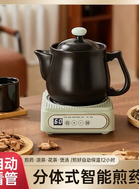 德国全自动中药电煎药壶药罐煎锅