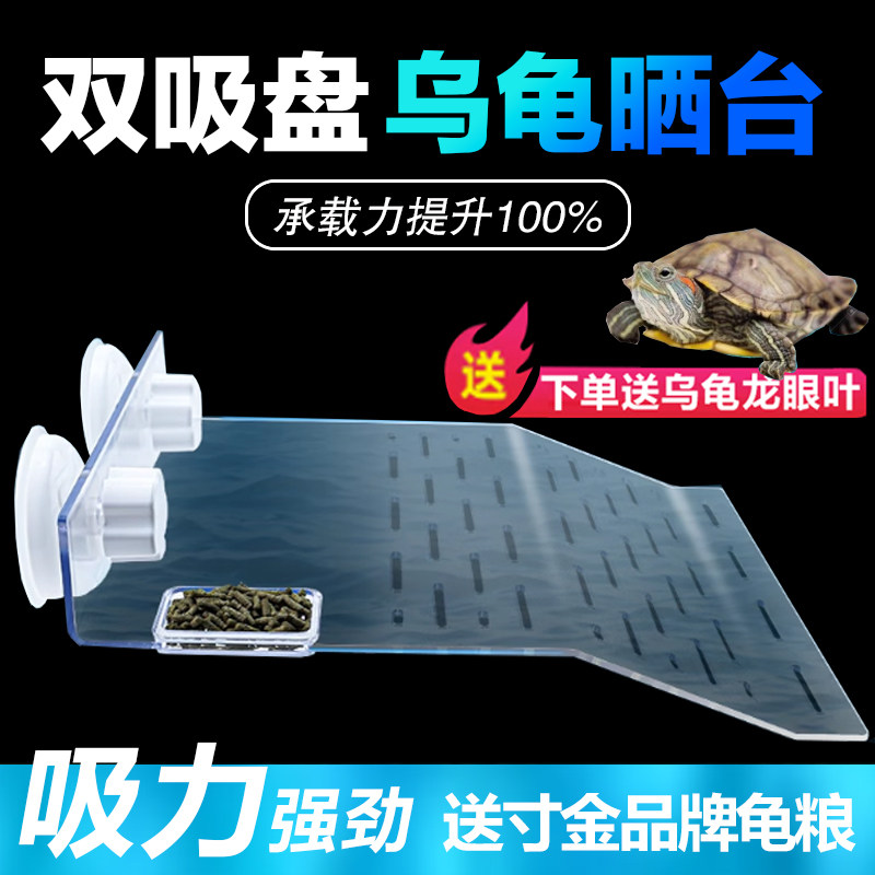 乌龟晒台吸力强劲承重力强图片