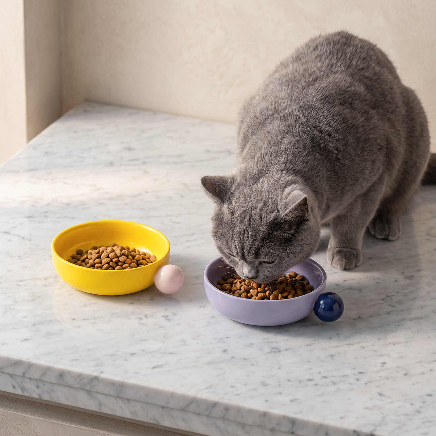 简约纯色圆柄宠物碗陶瓷猫碗狗碗防打翻食盆带柄猫粮碗猫咪水碗