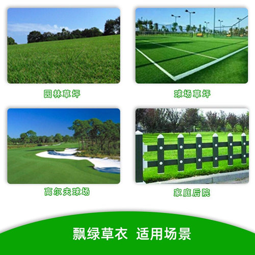 天玲草皮增绿剂草坪染色剂植物着色剂枯草一喷就绿色增色剂不伤草