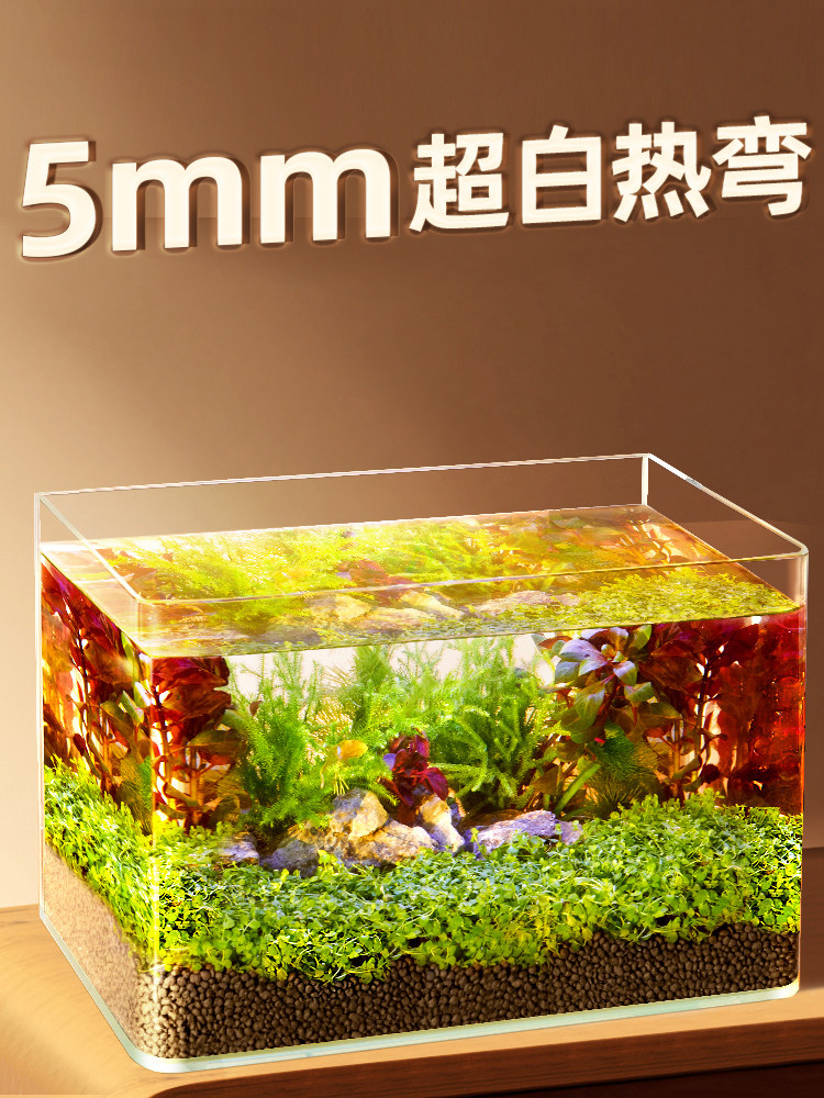 2025新款热弯玻璃鱼缸客厅小型水族家用龟缸水草缸生态桌面金鱼缸
