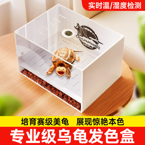 乌龟饲养缸幼龟苗孵化幼龟孵化剃刀佛鳄蛋龟缸带沉淀板生态爬宠箱