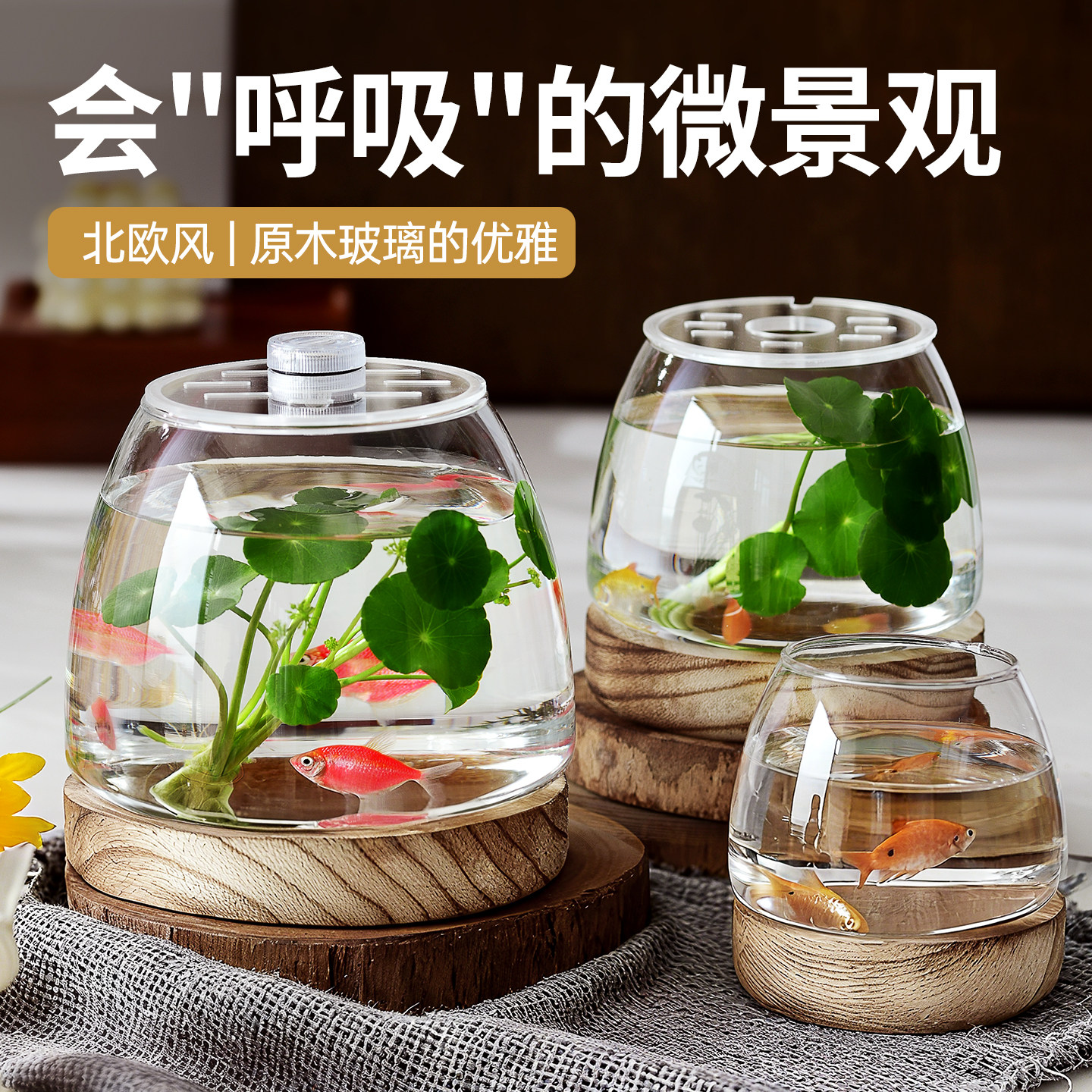 生态玻璃鱼缸新款客厅小型桌面造景缸发光木托花瓶礼盒工位斗鱼缸