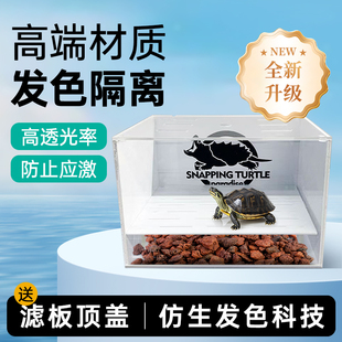 乌龟发色盒小型防逃鳄龟专用缸育龟苗桌面缸底滤沉淀板隔离饲养盒